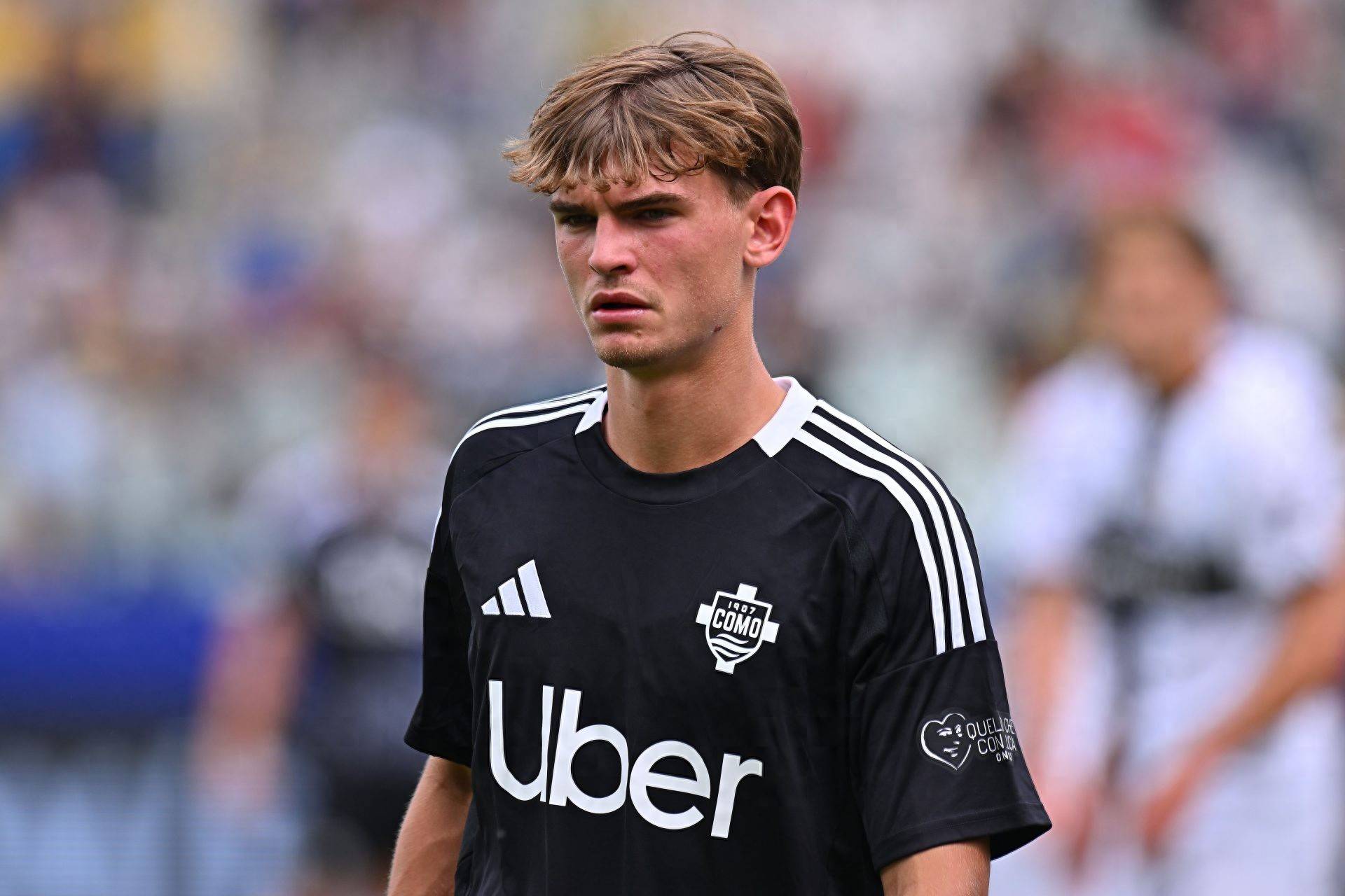 希望本文的 希望本文的