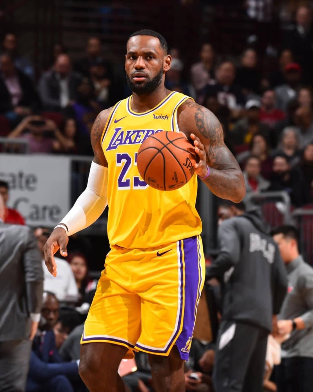 延展臂展 延展臂展